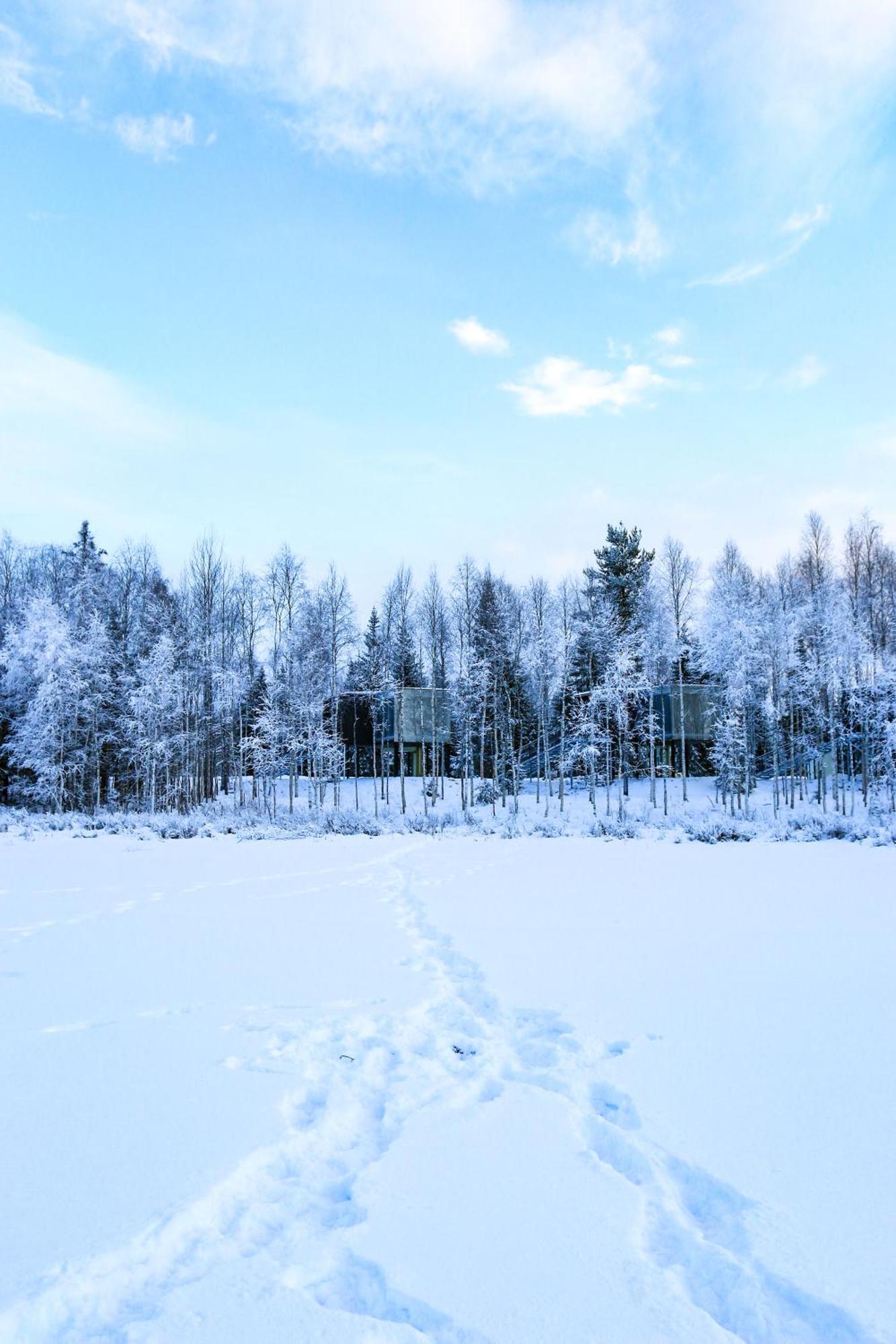 Silver Birch Resort Lapland Rovaniemi Luaran gambar
