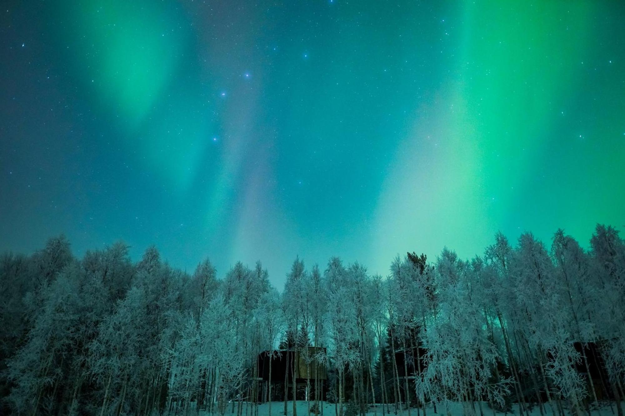 Silver Birch Resort Lapland Rovaniemi Luaran gambar